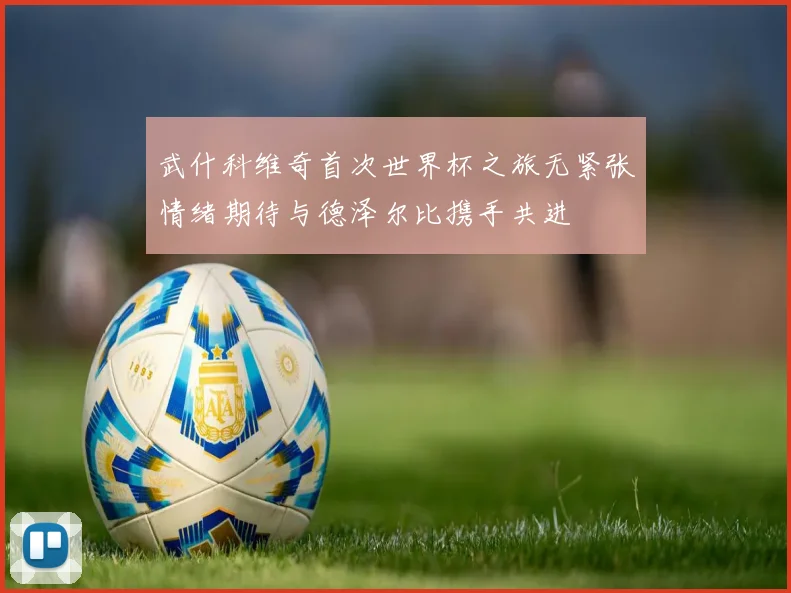 武什科维奇首次世界杯之旅无紧张情绪期待与德泽尔比携手共进